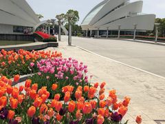 -上海鲜花港
