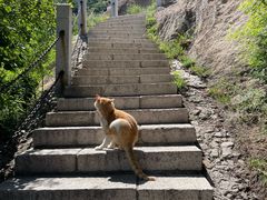 -北京凤凰岭