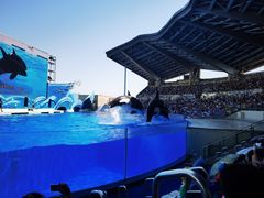 -上海海昌海洋公园