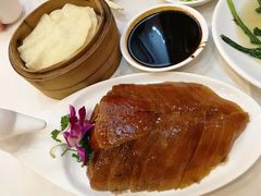-九花山烤鸭店