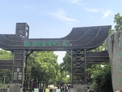 -溱湖国家湿地公园