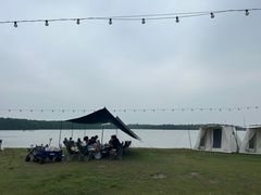 -上海海湾国家森林公园