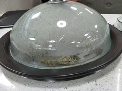 -睿柏云酒店-餐厅