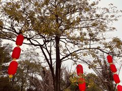 -东风公园