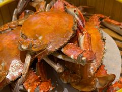 -必点海鲜·海肠捞饭(滨江道一店)