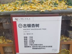-天朝元辅-徐州民俗博物馆