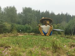 -日照海滨国家森林公园