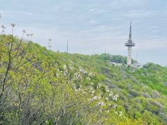 -岳麓山风景名胜区