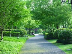 -杭州城北体育公园