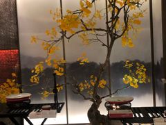 -京华烟云·北京烤鸭(领展购物广场·中关村店)