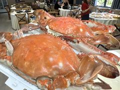 -好兄弟郭巨海鲜(天一阁店)