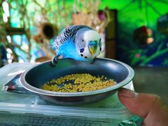 -昆明大悦城未来动物城(螺蛳湾中心店)