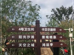 -九龙湖公园