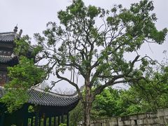 -文昌阁