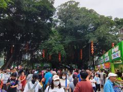 -荔湾湖公园