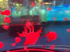 -南昌融创海世界