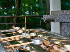 -成都濑川外国语学校