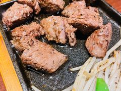 -黑松白鹿(新活馆店)