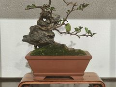 -郭庄景区