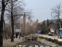 -白水寺森林公园