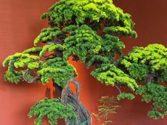 -阿伟海鲜楼·福建菜(延寿店)