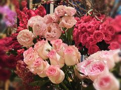 -深圳威尼斯英迪格酒店