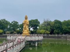 -报恩禅寺