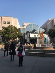 -上海交通大学医学院附属上海儿童医学中心(陆家嘴总院区)