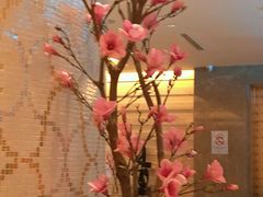 -钱柜音乐会所(罗湖店)