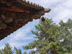 -张掖大佛寺景区
