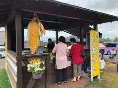 -富田农场