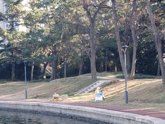 -莱西月湖公园