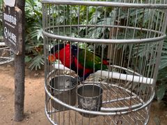 -南宫五洲植物乐园