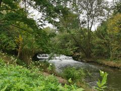 -白鹭湾湿地公园