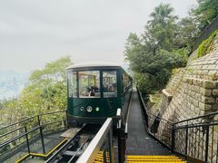 -太平山顶
