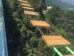 -梦幻奥陶纪景区