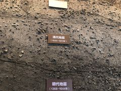 -隋唐大运河文化博物馆