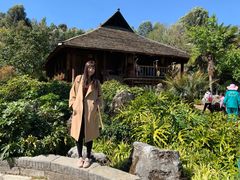 -云南民族村