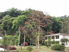 -广东温泉宾馆