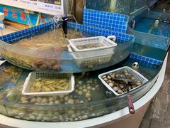-津沽小院(天津之眼店)