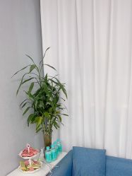 -美朵纹绣美牙纹眉工作室