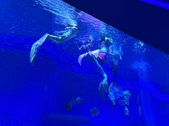-石家庄海洋公园