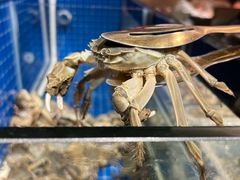 -深海聚汇·牛榴宴·自助料理(江宁万达店)