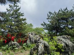 -王莽岭风景区