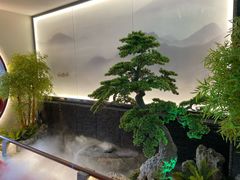 -鸽子侯·家宴·平价海鲜(市图书馆店)