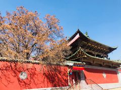 -塔尔寺