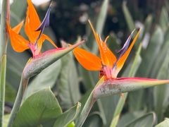 -茅草房·河畔园林火锅