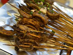 鳝鱼-晓靖轩烧烤(沙河风情店)