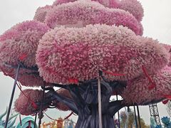 -淄博花灯齐彩城