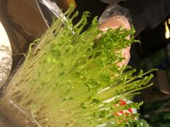 有机活体豆苗-盡膳口福·百年汤方火锅(科华北路店)